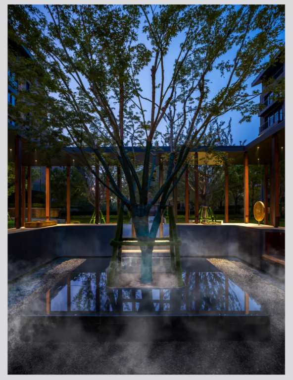 《记忆永威上和院》之三:善得万物,木欣欣以向荣