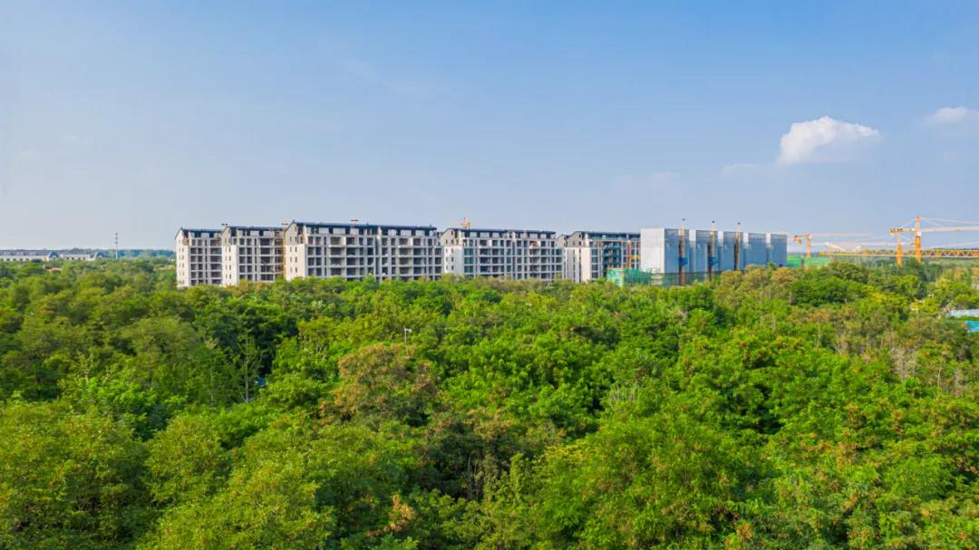 永威上和府|静享阖家私密,轻启精致生活