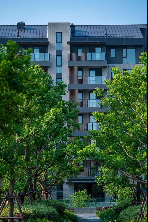 永威上和府|你的身心独享这片林与湖