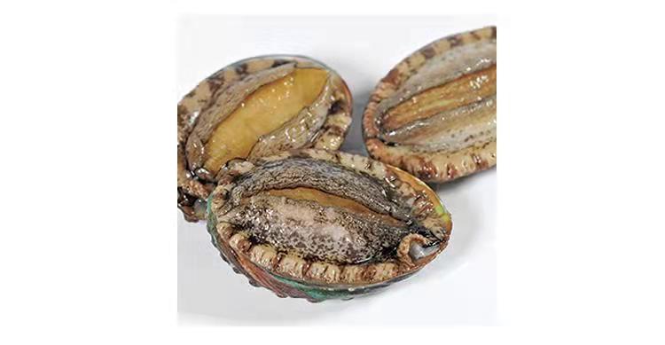 美味预警,阿五黄河大鲤鱼上新菜了 - 河南一百度