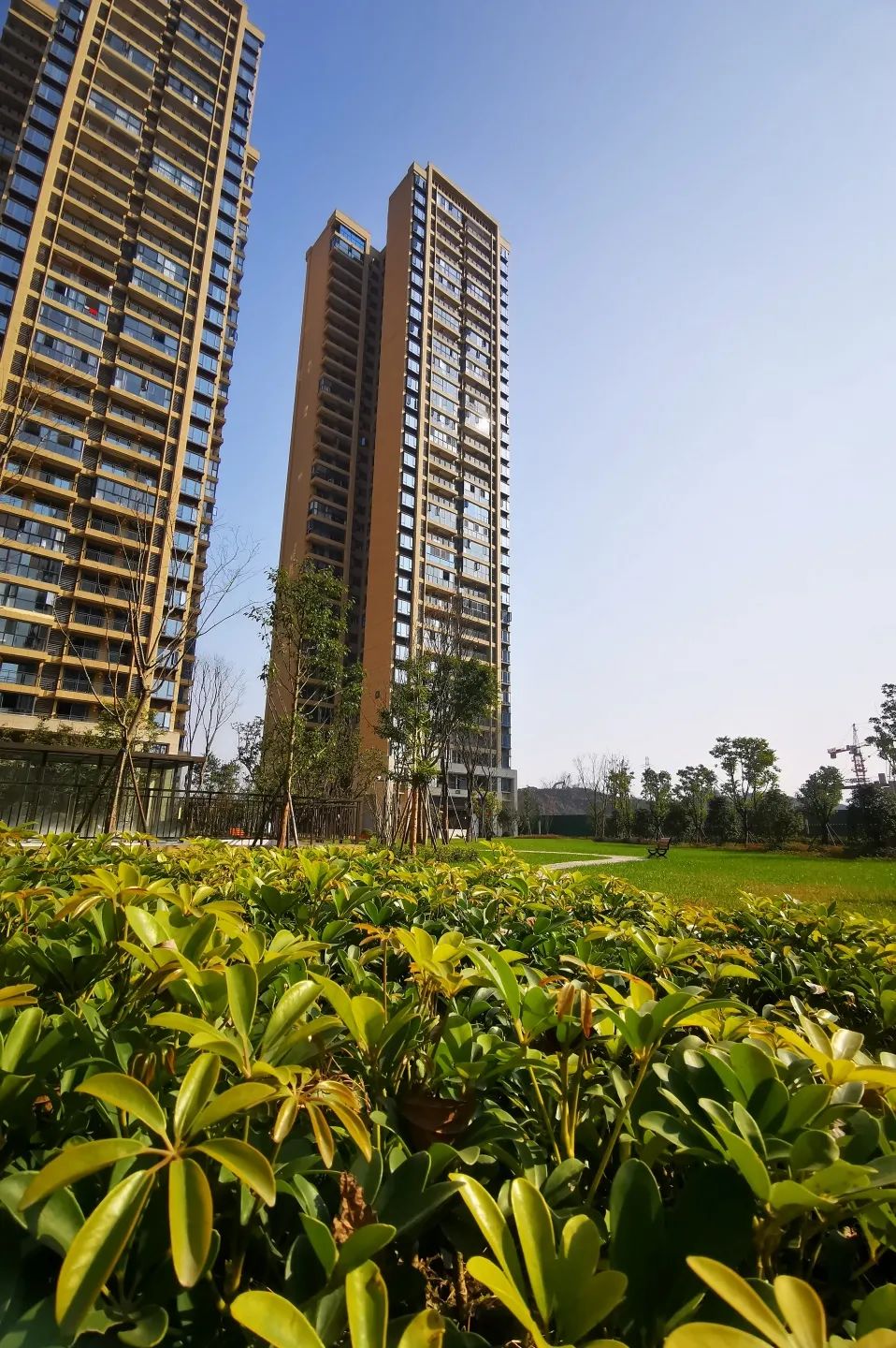 达州绿地城春暖万家大城已成