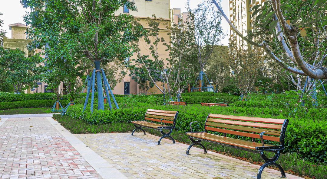 十年橄恩美好有你亚新橄榄城请全城喝汤活动圆满落幕