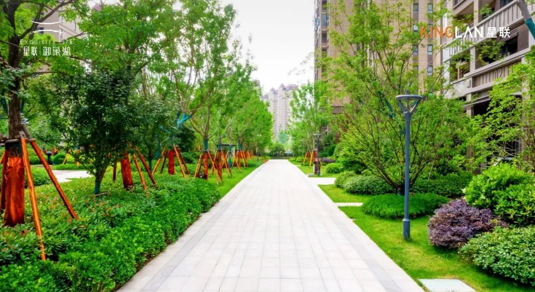 美好即将兑现星联集团星联御象湖从责任出发用品质交付