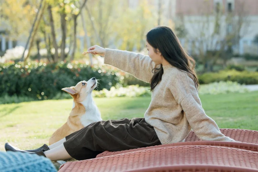 普罗理想国到底是哪些人选择了宠物友好社区