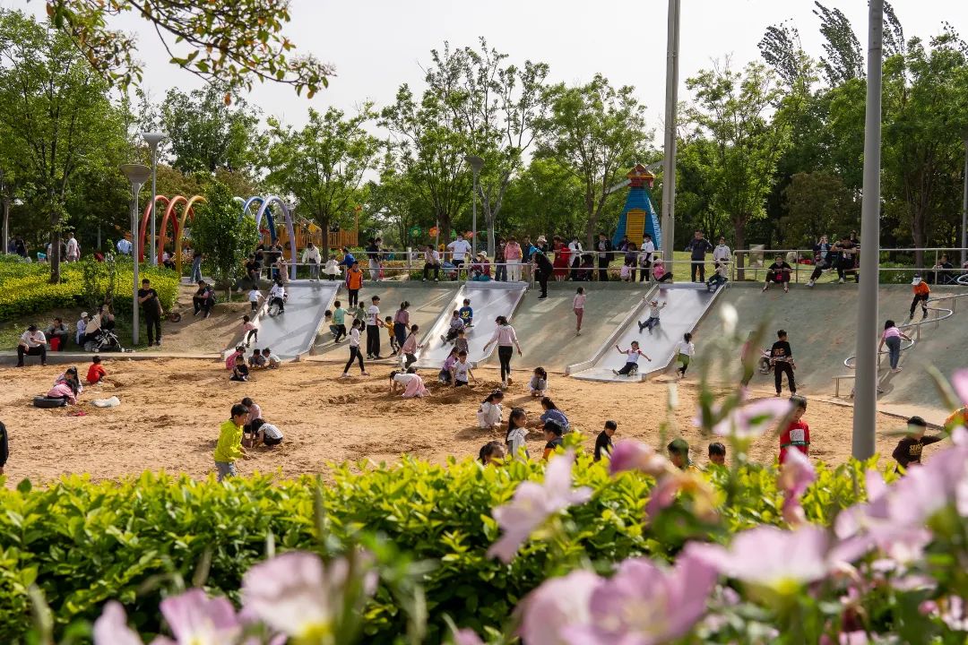 与浪漫流萤共度夏日不眠夜郑州园博园萤火虫奇幻夜即将上线