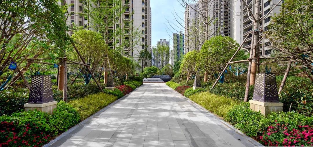 时光志·夏 | 绿都澜湾枫园许你一份夏日美好