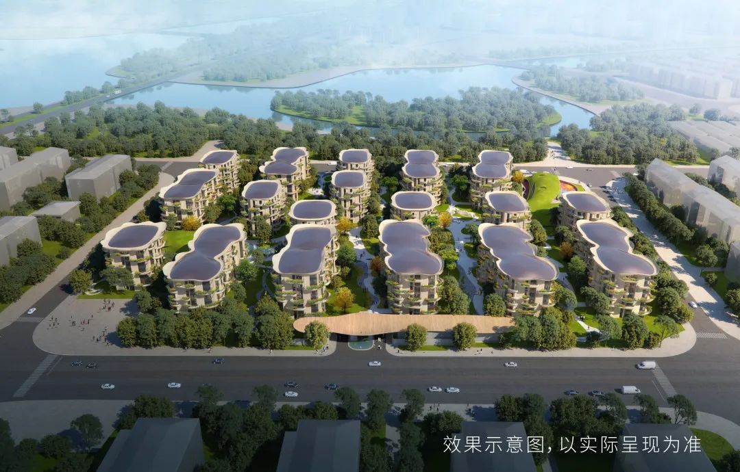 mad带你看建业君邻大院松苑自然当是生活的常态