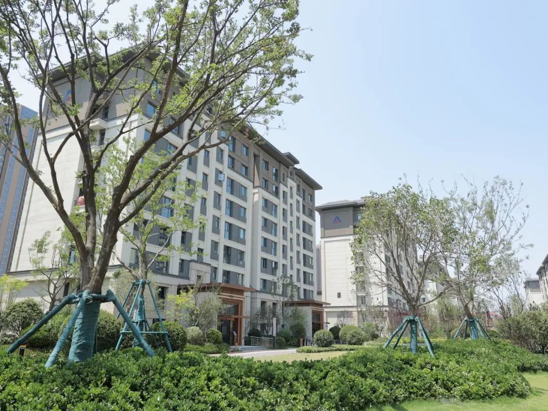 府境已成悦启幸福新乡建业世和府盛大交房