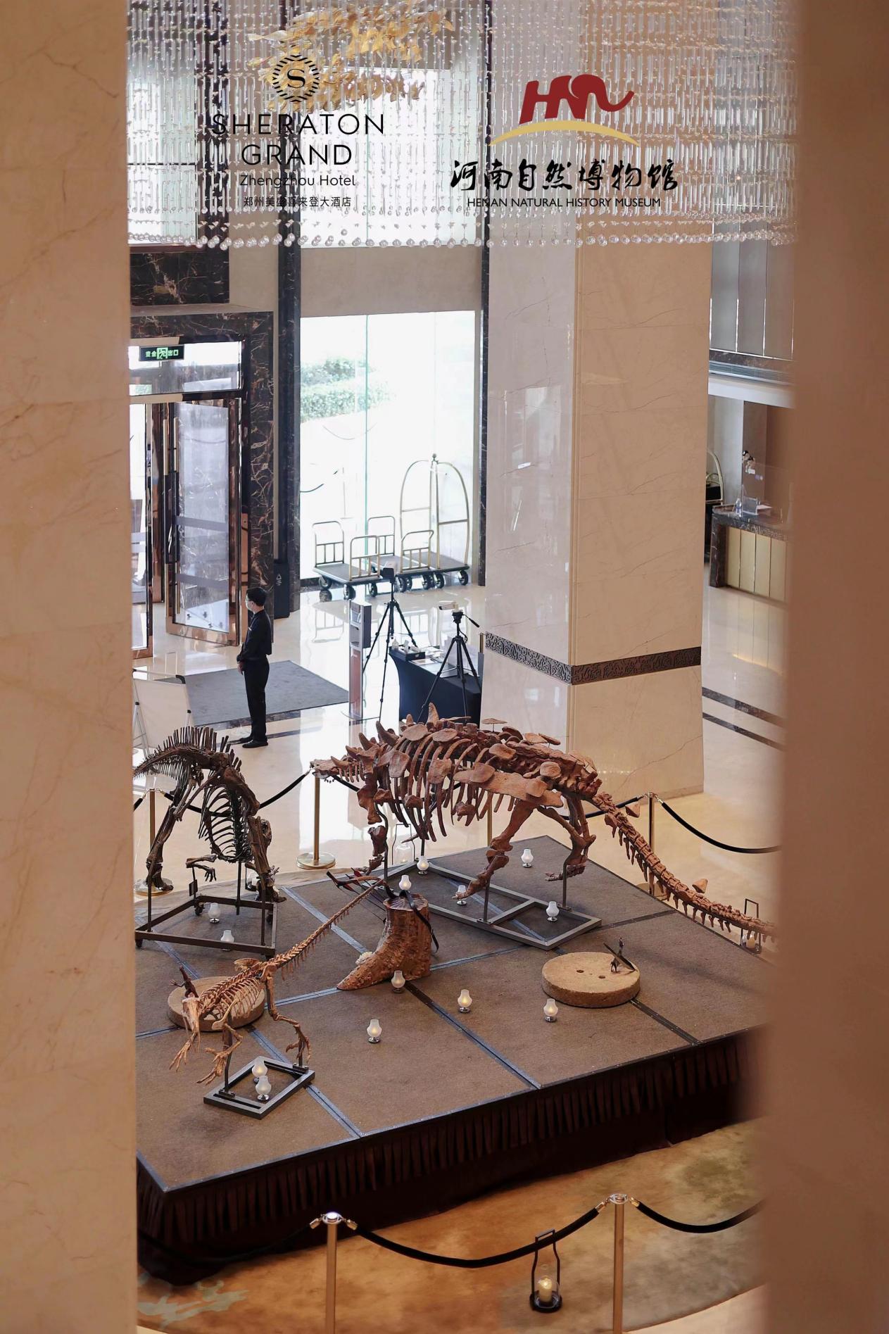 郑州美盛喜来登酒店恐龙展