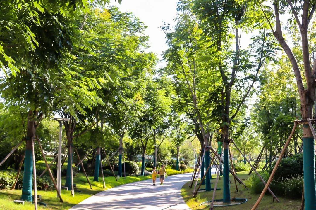 郑州华侨城|大自然的城,公园里的洋房