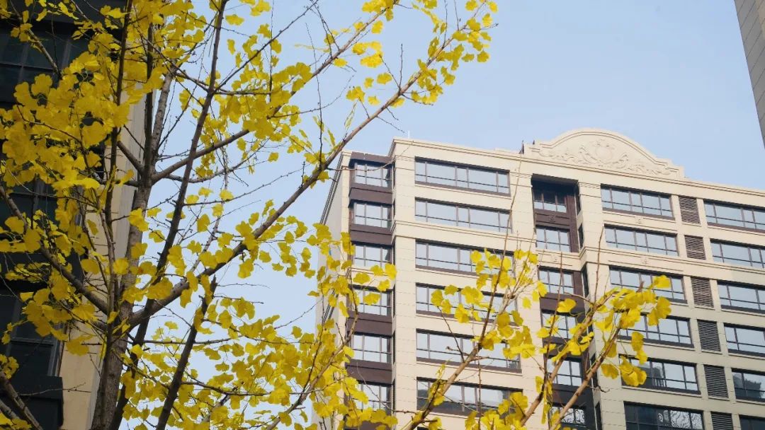 鹤壁建业·通和府