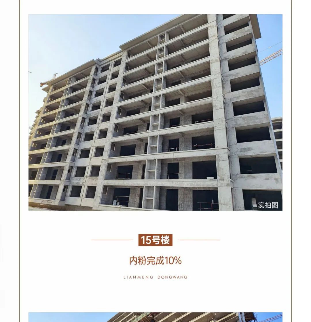 柘城建业联盟东望1月工程播报 丨辞旧迎新 家书传情
