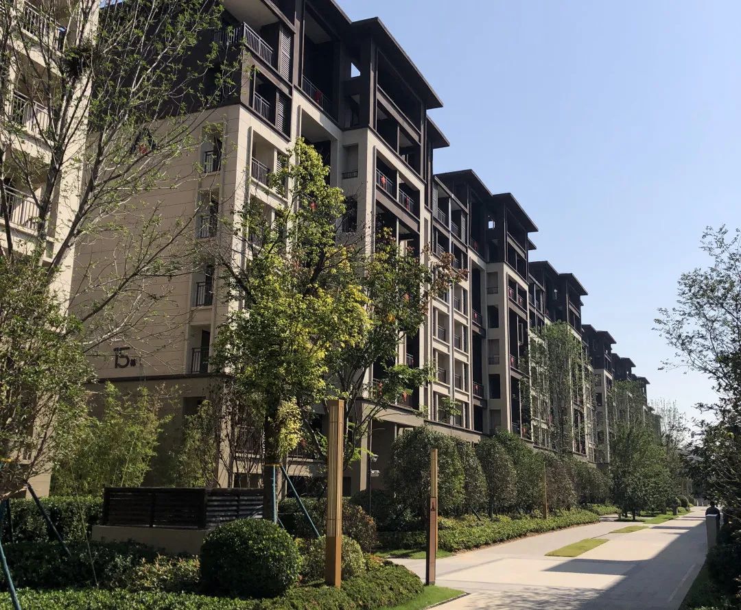 建业大城小院丨难得实景臻洋房诗意美好值得珍藏