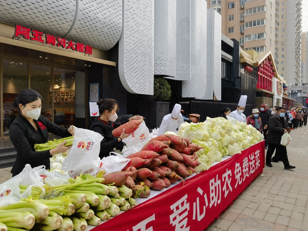 阿五黄河大鲤鱼