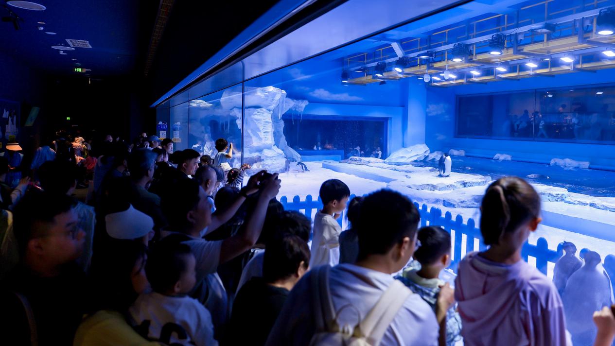 郑州海昌海洋公园