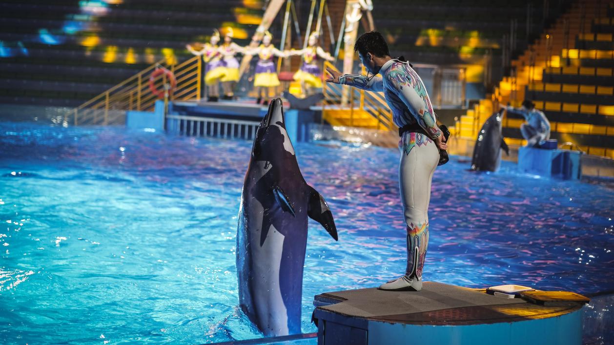 郑州海昌海洋公园