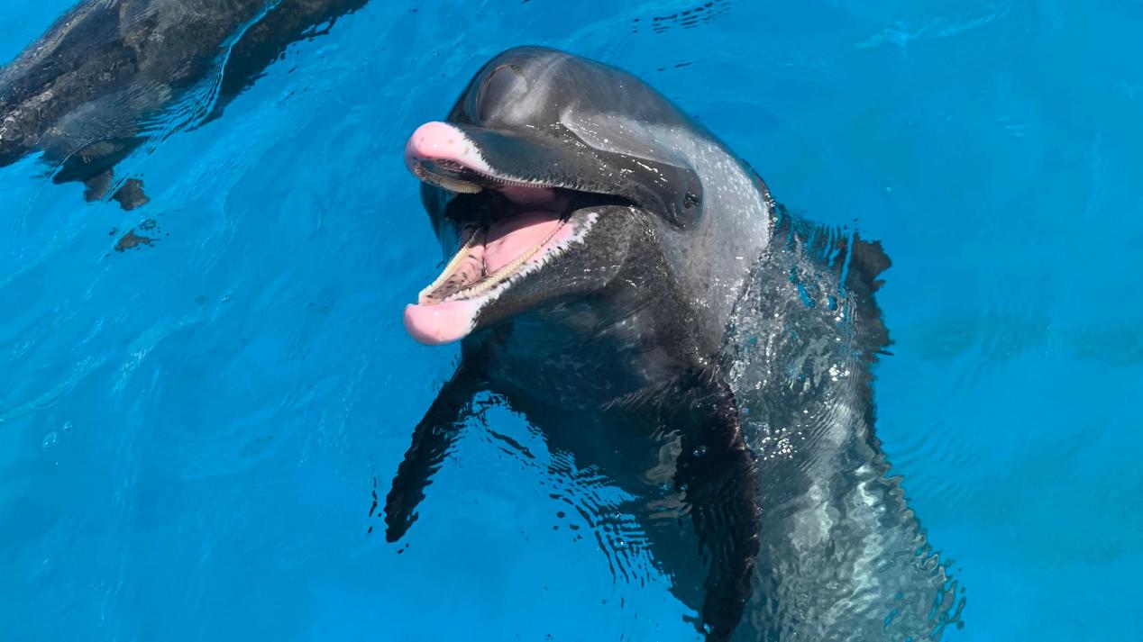 郑州海昌海洋公园