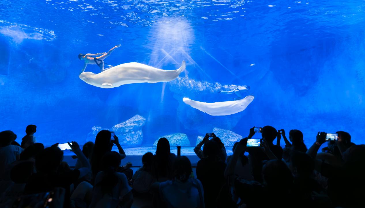 郑州海昌海洋公园