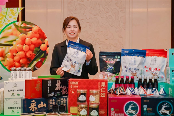 河南省黑龙江商会2026年新年联谊会