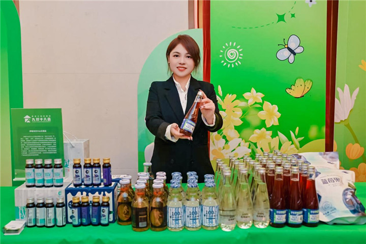 河南省黑龙江商会2026年新年联谊会