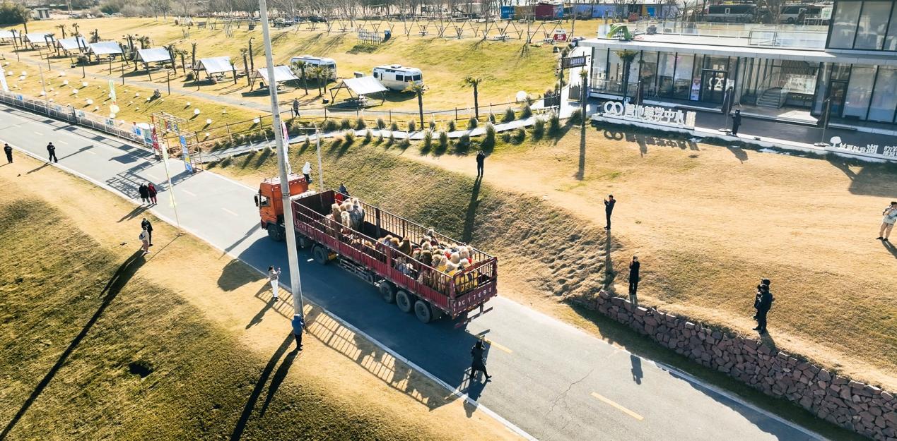 忆江南旅游度假区