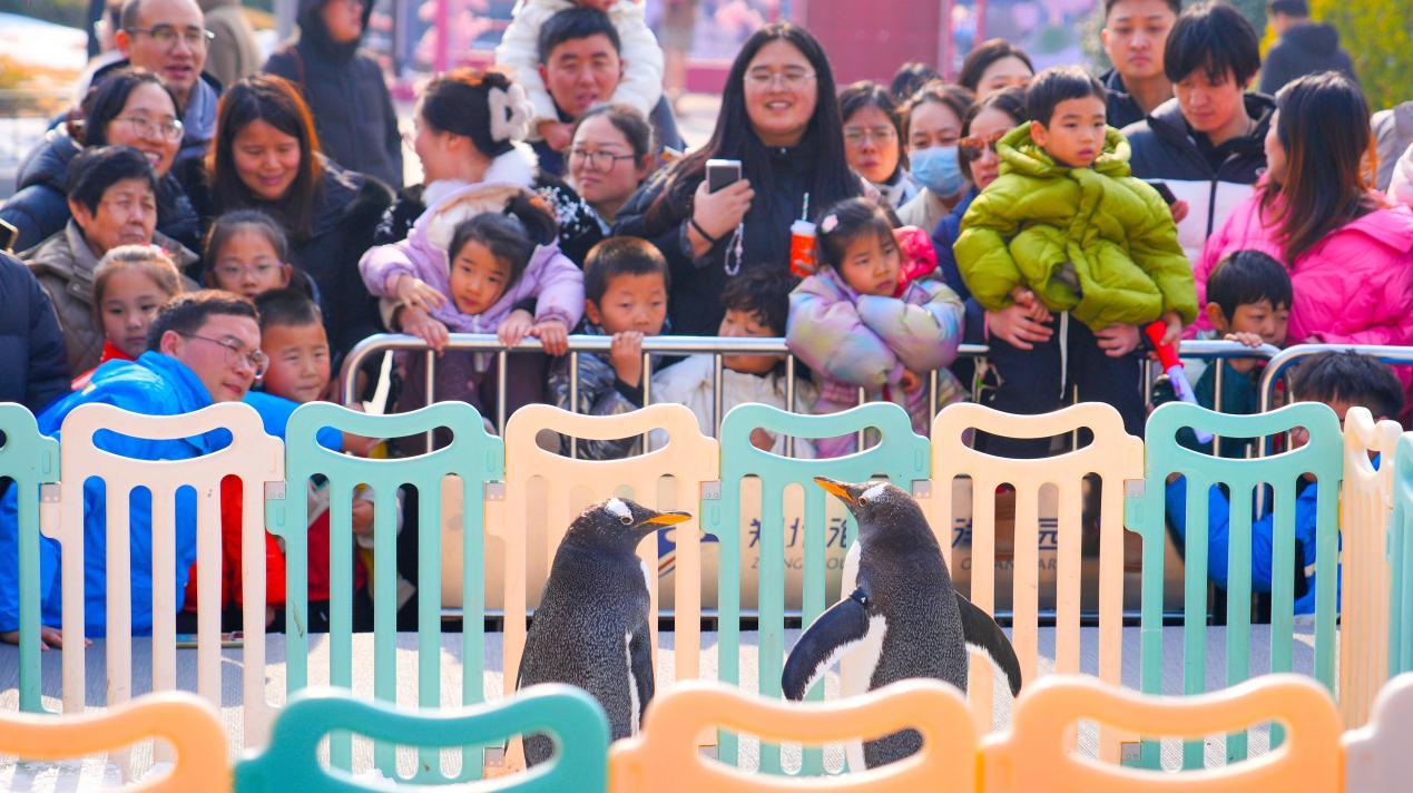 郑州海昌海洋公园