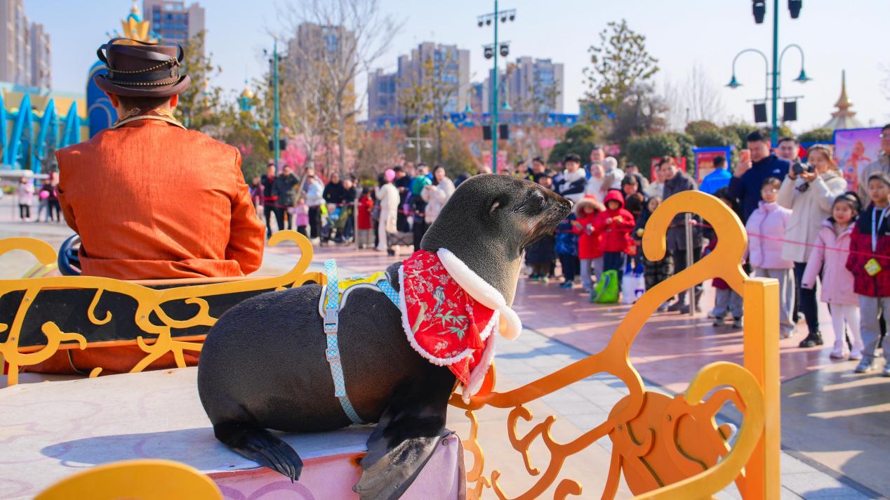 郑州海昌海洋公园