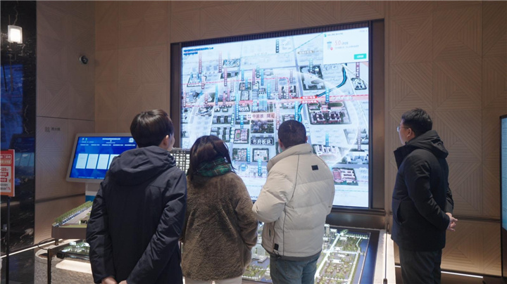 通派龙湖・中原颂丨開元