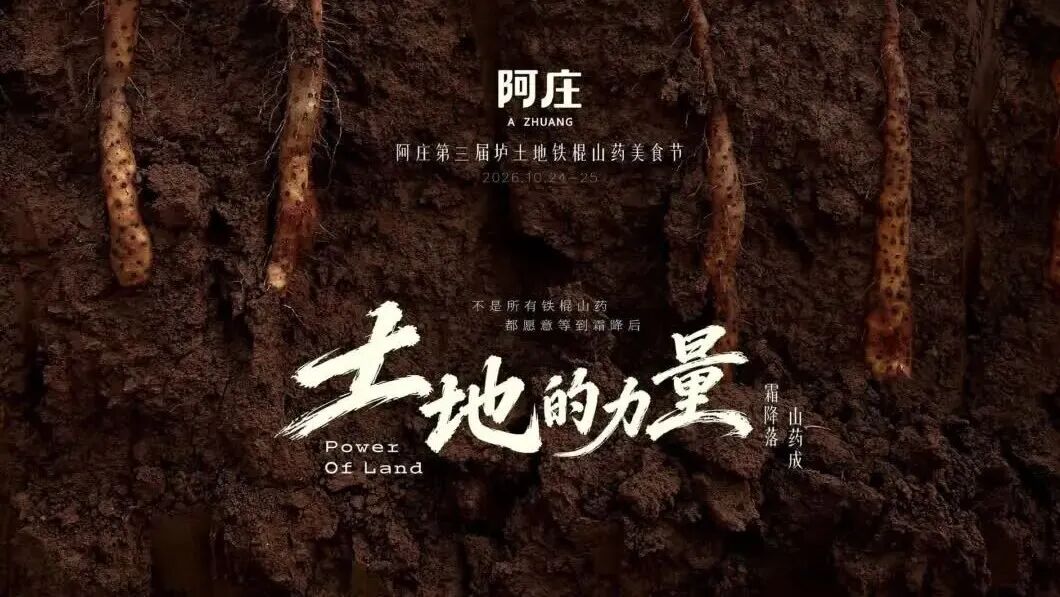 一根垆土地铁棍山药，承载河南土地的力量丨阿庄第三届温县垆土地铁