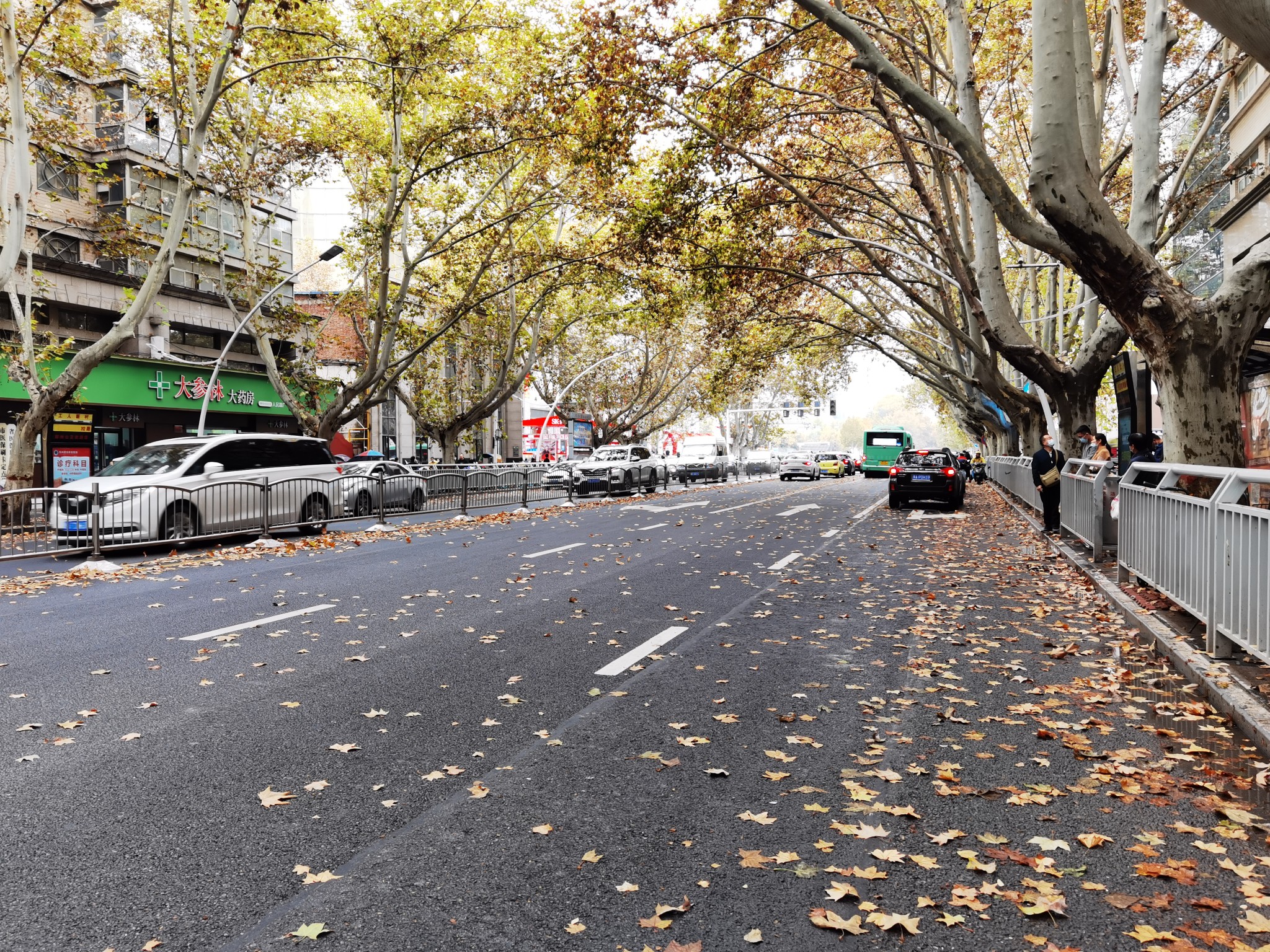 走访丨初冬的落叶美吗?郑州环卫工及时清扫 市民:能否留住一丝秋韵?