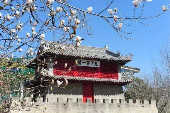 又到春花烂漫时，我在绿博等着你！