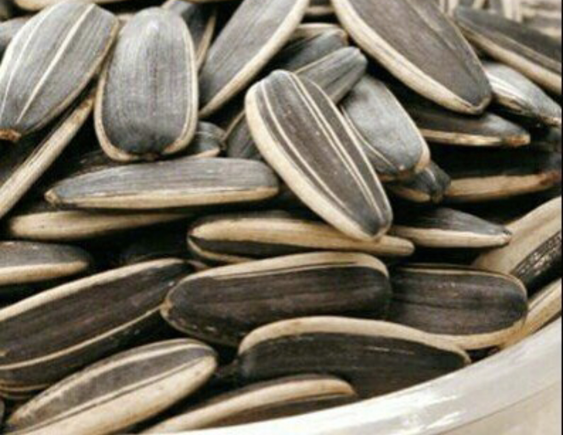 爱嗑瓜子小心“瓜子牙”