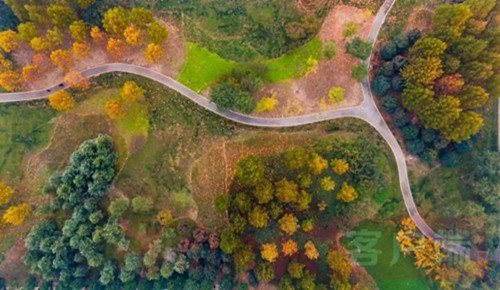 郑州“公园城市”规划正式发布 让城市更美！更绿！