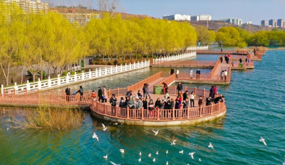 一本水账   万卷绿图