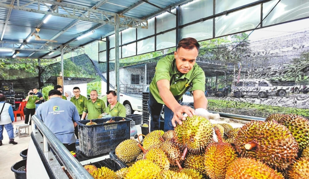 走，备点儿洋年货尝鲜