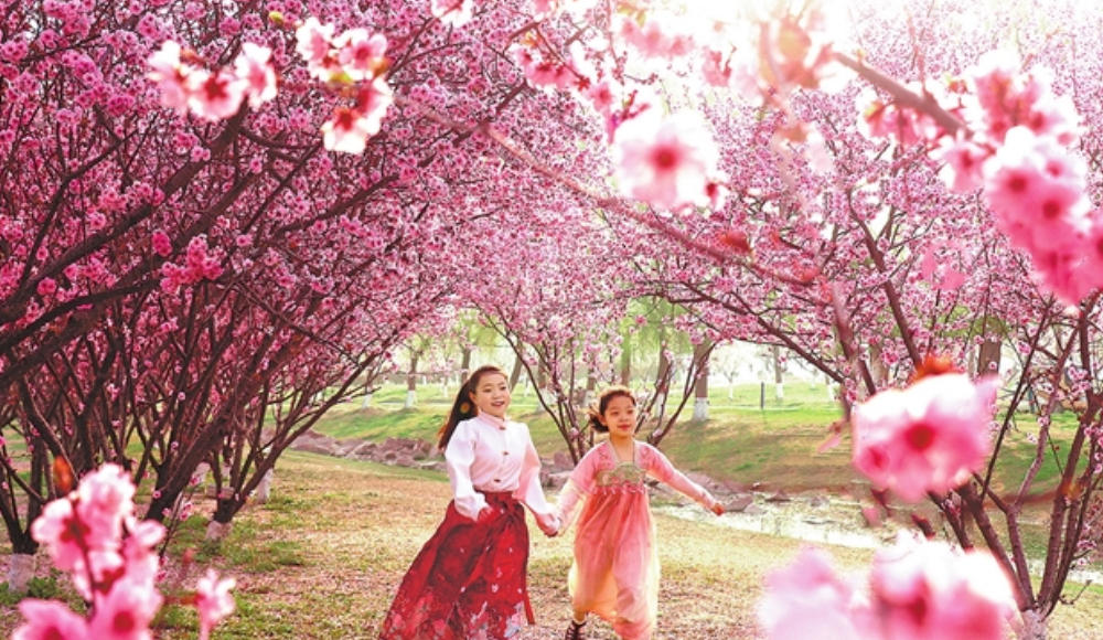 探寻“中国色” 漫步繁花间