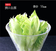 南阳三顾牛庄,南阳酒店